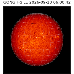 gong - 2026-09-10T06:00:42