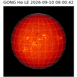 gong - 2026-09-10T08:00:42