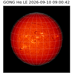 gong - 2026-09-10T09:00:42
