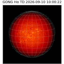 gong - 2026-09-10T10:00:22
