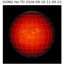 gong - 2026-09-10T11:00:22