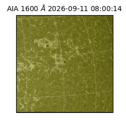 saia - 2026-09-11T08:00:14.122000