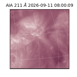 saia - 2026-09-11T08:00:09.623000