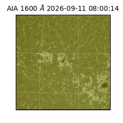 saia - 2026-09-11T08:00:14.122000