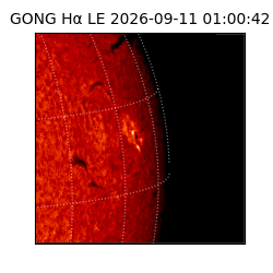 gong - 2026-09-11T01:00:42