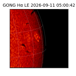 gong - 2026-09-11T05:00:42
