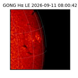 gong - 2026-09-11T08:00:42