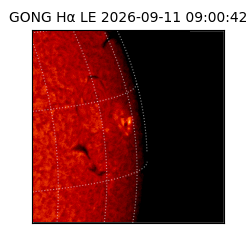 gong - 2026-09-11T09:00:42