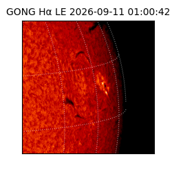 gong - 2026-09-11T01:00:42