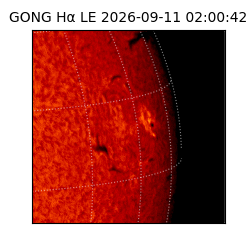 gong - 2026-09-11T02:00:42