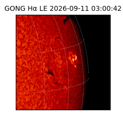 gong - 2026-09-11T03:00:42
