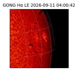 gong - 2026-09-11T04:00:42