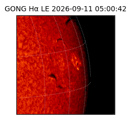 gong - 2026-09-11T05:00:42