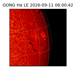 gong - 2026-09-11T06:00:42