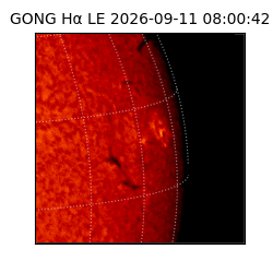gong - 2026-09-11T08:00:42