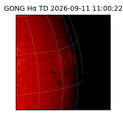 gong - 2026-09-11T11:00:22