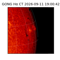 gong - 2026-09-11T19:00:42
