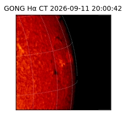 gong - 2026-09-11T20:00:42