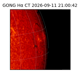 gong - 2026-09-11T21:00:42