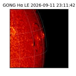 gong - 2026-09-11T23:11:42
