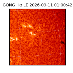 gong - 2026-09-11T01:00:42