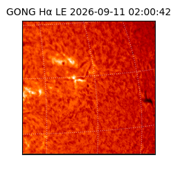 gong - 2026-09-11T02:00:42