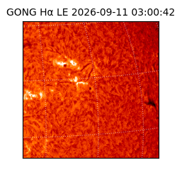 gong - 2026-09-11T03:00:42