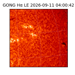 gong - 2026-09-11T04:00:42