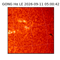 gong - 2026-09-11T05:00:42
