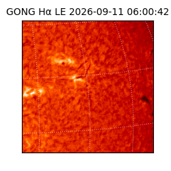 gong - 2026-09-11T06:00:42