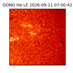 gong - 2026-09-11T07:00:42