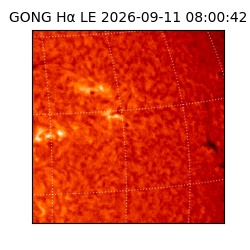 gong - 2026-09-11T08:00:42