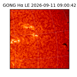 gong - 2026-09-11T09:00:42