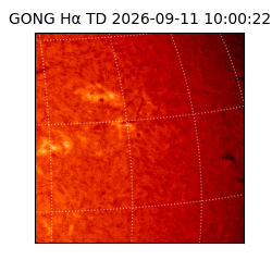 gong - 2026-09-11T10:00:22
