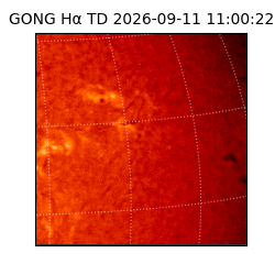 gong - 2026-09-11T11:00:22