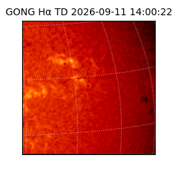 gong - 2026-09-11T14:00:22