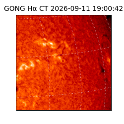 gong - 2026-09-11T19:00:42