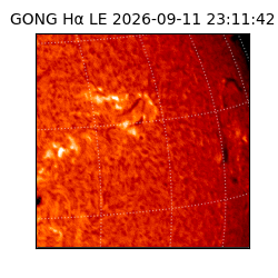 gong - 2026-09-11T23:11:42