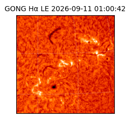 gong - 2026-09-11T01:00:42