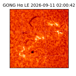 gong - 2026-09-11T02:00:42