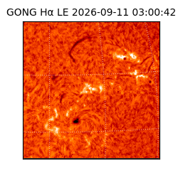 gong - 2026-09-11T03:00:42