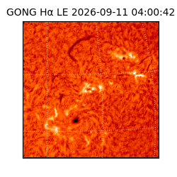 gong - 2026-09-11T04:00:42