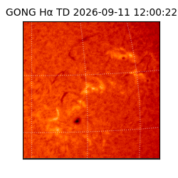 gong - 2026-09-11T12:00:22