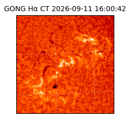 gong - 2026-09-11T16:00:42