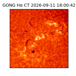 gong - 2026-09-11T18:00:42