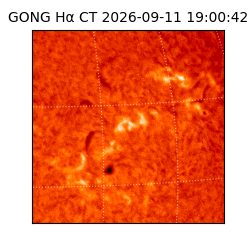 gong - 2026-09-11T19:00:42