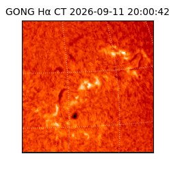 gong - 2026-09-11T20:00:42