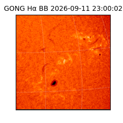 gong - 2026-09-11T23:00:02