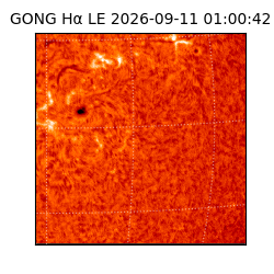 gong - 2026-09-11T01:00:42