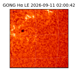 gong - 2026-09-11T02:00:42